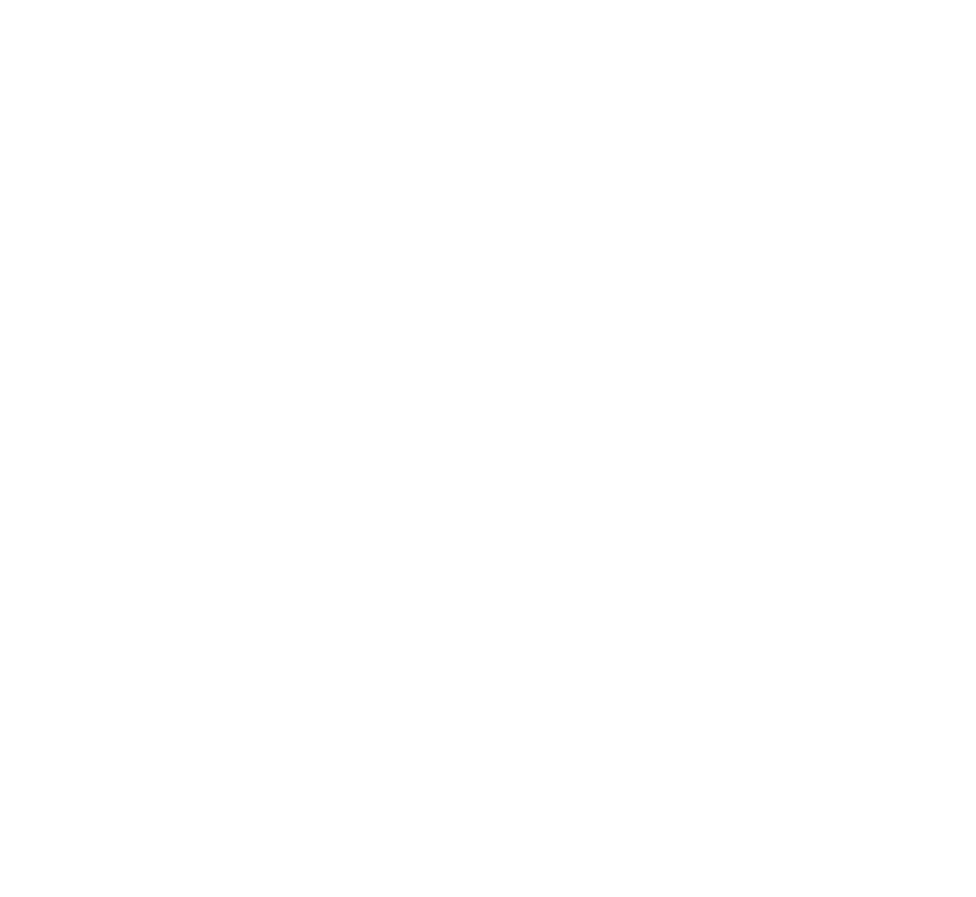 Alpine Mobile Detailing